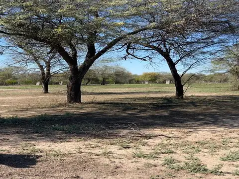 Terreno en Venta de 450,0 m2
