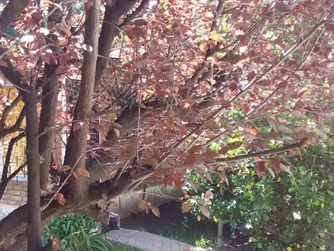 Terreno en Venta en Tigre Centro, USD 190.000