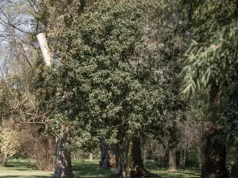 Terreno en Venta en Del Viso, USD 25.000