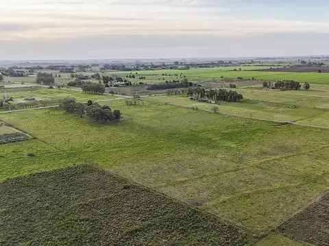 Terreno en Venta de 100000,0 m2