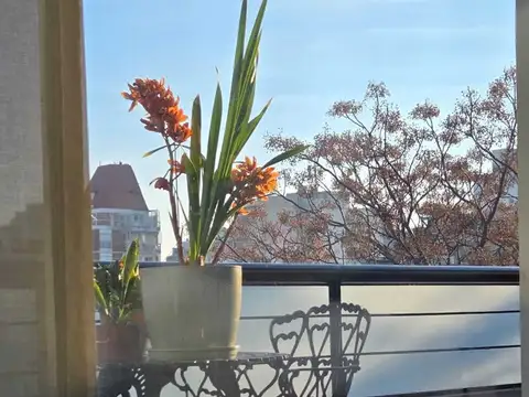 SEMIPISO DE DOS AMBIENTES , MUY AMPLIO CON   DOS COCHERAS  EN EL CORREDOR DONADO HOLMBERG