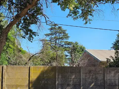 Terreno Leoncio de la Barrera 435