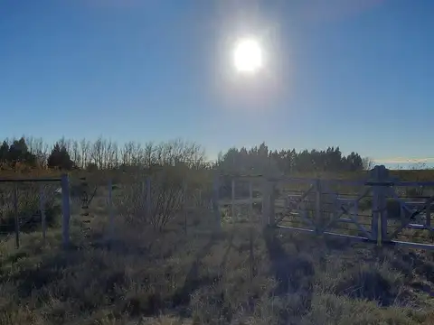 Terreno en Venta en Puerto Madryn, USD 25.000