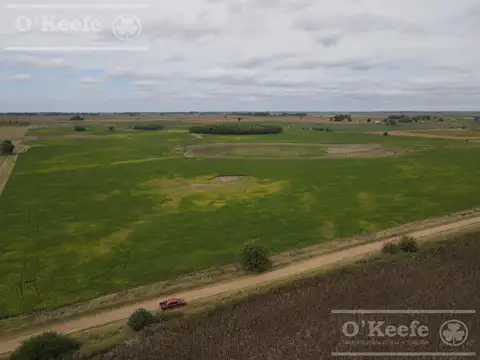 CAMPO AGRICOLA DE 77 HAS EN VENTA - A 7 KM DE RUTA 29 EN VILLANUEVA