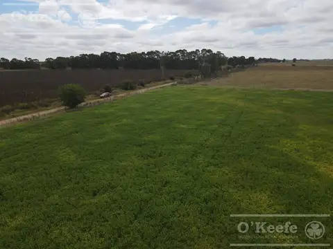 CAMPO MIXTO DE 77 HAS EN VENTA - A 7 KM DE RUTA 29 EN VILLANUEVA