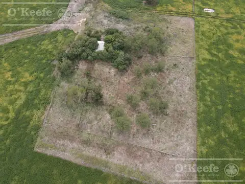 CAMPO MIXTO DE 77 HAS EN VENTA - A 7 KM DE RUTA 29 EN VILLANUEVA