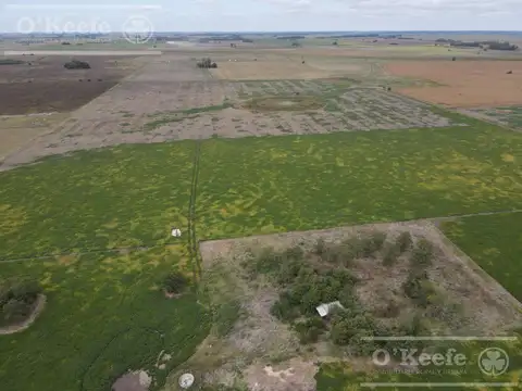 CAMPO AGRICOLA DE 77 HAS EN VENTA - A 7 KM DE RUTA 29 EN VILLANUEVA