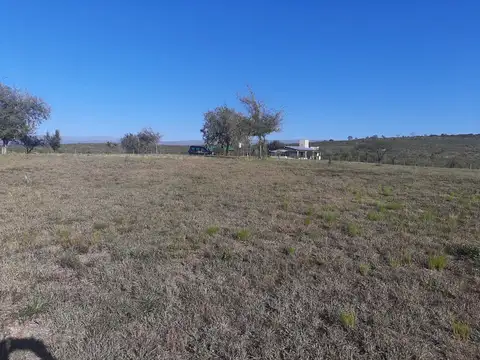 Terreno en Venta 42  mts Frente