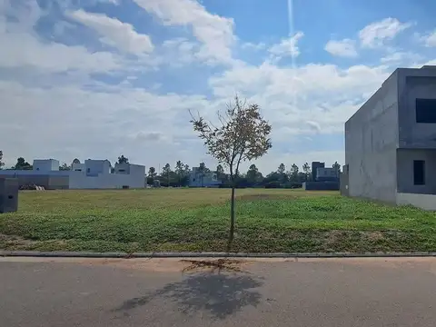 Bernardo O'Higgins 6900