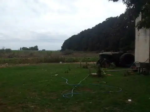 Chacra en Venta, 4.7has, en Baradero, Provincia de Buenos Aires