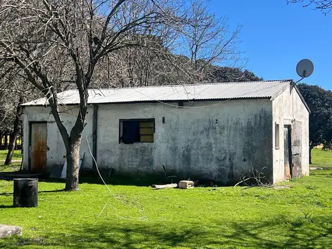 Chacra en Venta, 4.7has, en Baradero, Provincia de Buenos Aires