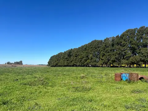 Chacra en Venta, 4.7has, en Baradero, Provincia de Buenos Aires