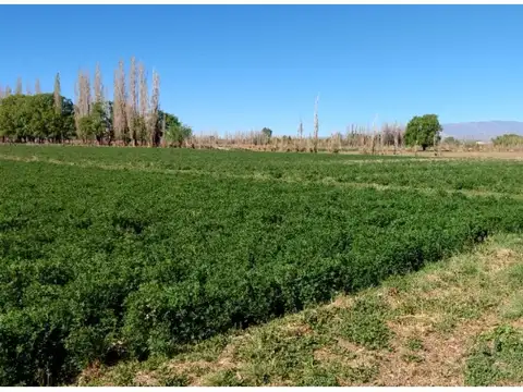 Campo en iglesia san juan
