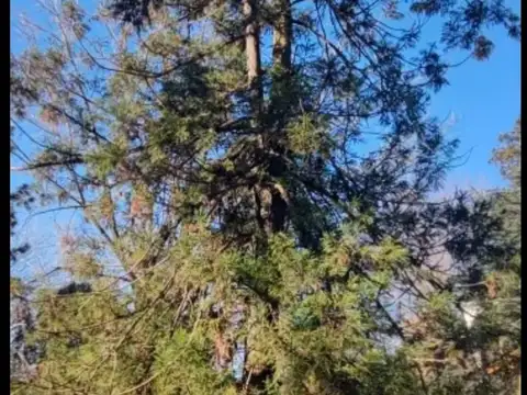 Terreno en Venta de 215,0 m2