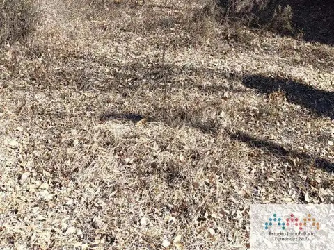 Terreno en Venta 60  mts Fondo