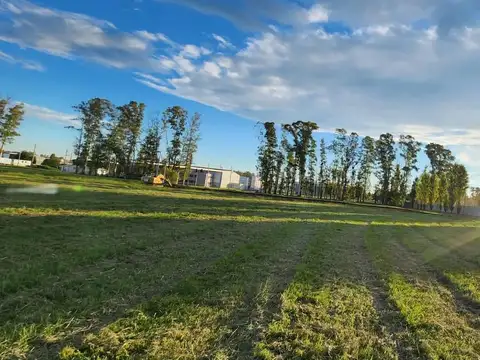 Lote industrial en PIM I - Financiación - 2.500 m²