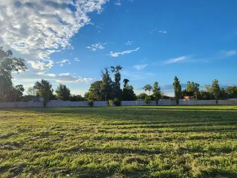 Ruta 24 100