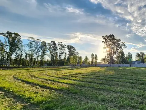 LOTE EN VENTA PIM 1 PARQUE INDUSTRIAL