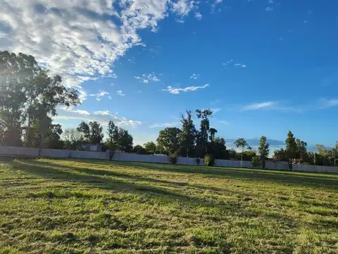 Terreno en Venta 42,05  mts Frente