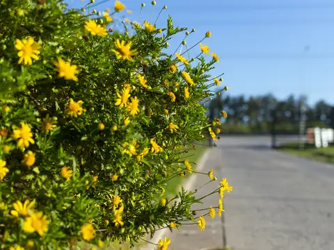 Terreno en Venta de 904,0 m2