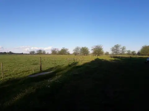 Ruta 6