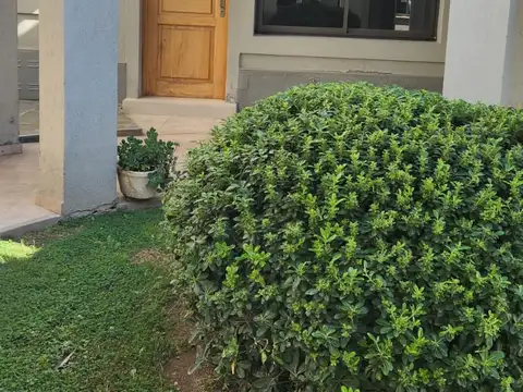 Departamento en Alquiler en Villa Nueva de Guaymallen, $ 900.000