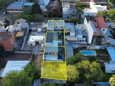 Remedios De Escalada 100