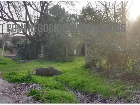 Terreno en Venta 20  mts Frente