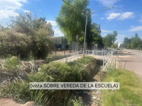 Tabanera s/n - Colonia Molina