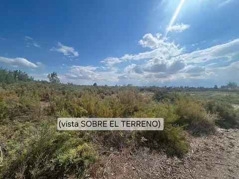 TERRENO 12 Ha. COLONIA MOLINA -GUAYMALLÉN