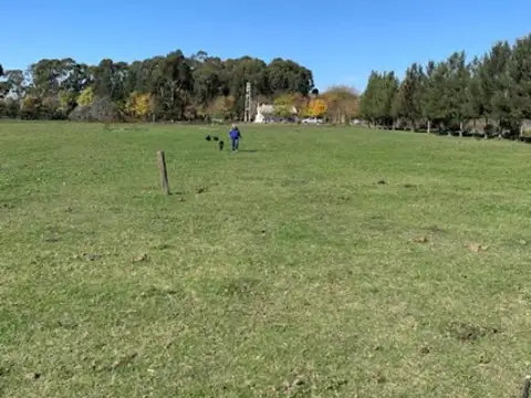 CAMPO 4.17 HAS CASA 2 PLANTAS, PILETA Y CABALLERIZAS.