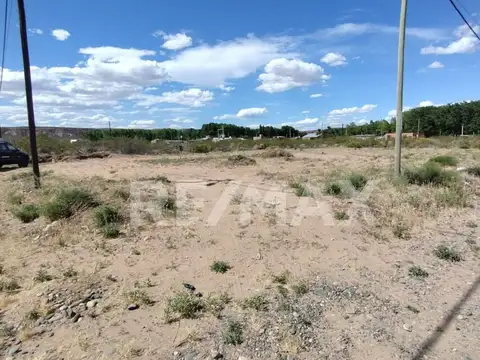 Lote Esquina 592 m2 - venta- Plottier