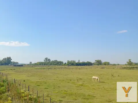 Terreno en Venta de 629,0 m2