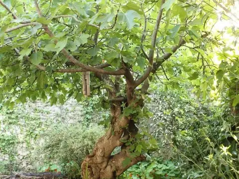 Depto Tipo Casa en Venta 12 años