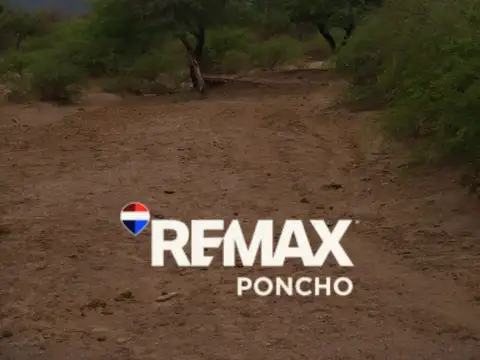 SE VENDE CAMPOS EN SAN MARTIN - CAPAYAN - RUTA 33