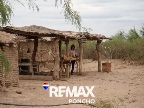SE VENDE CAMPOS EN SAN MARTIN - CAPAYAN - RUTA 33