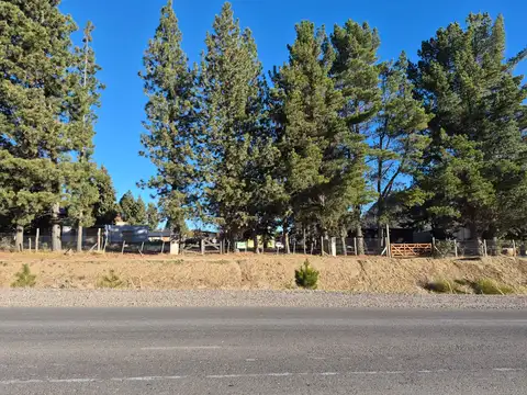 Av. Primeros Pobladores 100