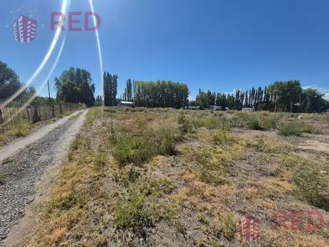 Galpon en Alquiler en Cinco Saltos, $ 2.000.000