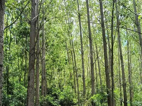 Casa  en Venta en Paicarabí, Zona Delta, San Fernando