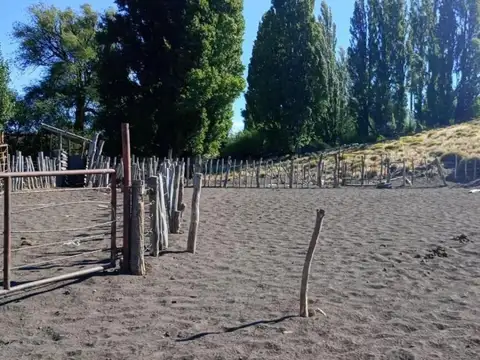 Campo en venta - 4.603 Hectáreas - Pilcaniyeu