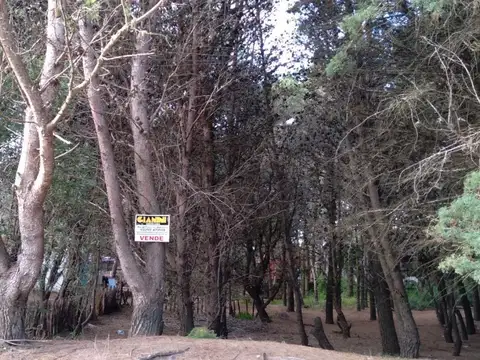 Terreno en Venta de 325,0 m2