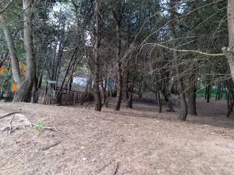 Excelente Lote de 325 m2 - hermoso entorno boscoso!