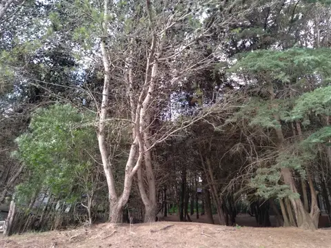 Terreno en Venta en Pueblo San Jose, USD 34.000