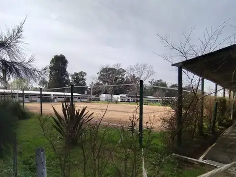 Silverio Basabe 900 900