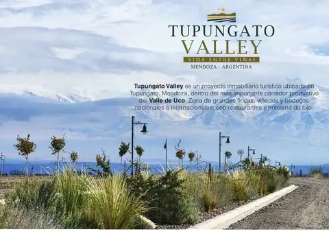 Lote de 2500 mts en Tupungato Valley