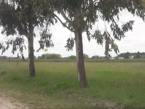 Terreno en Venta 41  mts Frente