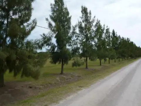 Terreno en Venta en Campos De Roca II, USD 25.500