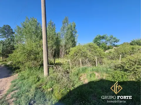 Tanti 1400