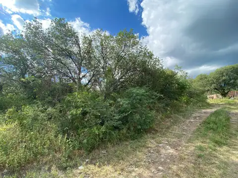 Terreno en Venta de 1240,0 m2