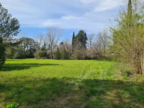Venta Terreno 10000 metros 